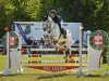 jumper Litonya (German Sport Horse, 2013, from Levistano)