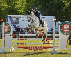 jumper Litonya (German Sport Horse, 2013, from Levistano)