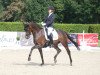 dressage horse Fienchen F.s. (Westphalian, 2016, from Fürstenball)