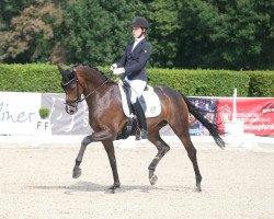 dressage horse Fienchen F.s. (Westphalian, 2016, from Fürstenball)