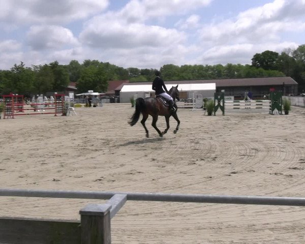 Reitturnier Nienberge Reitanlage Geßmann 2023