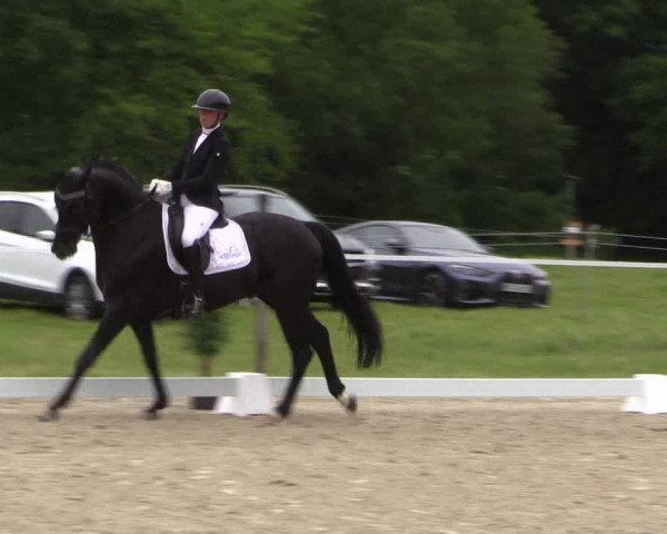 Reitturnier Nienberge Reitanlage Geßmann 2023