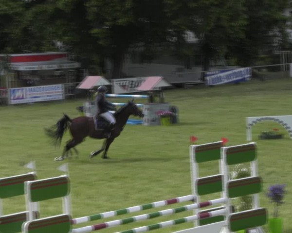Reitturnier Königsborn 2023