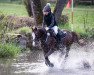 Springpferd Thistledown Larousse (Welsh Pony (Sek.B), 2012, von Thistledown Calon Lan)