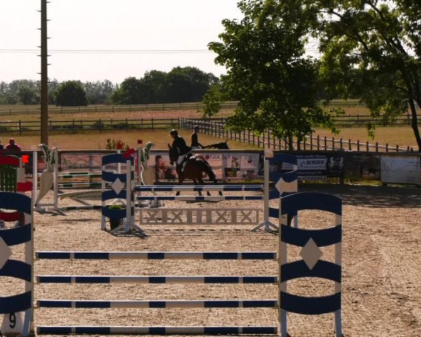 Reitturnier Ruhlsdorf 2023