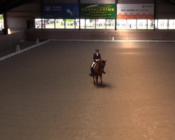 Reitturnier Niebüll 2023