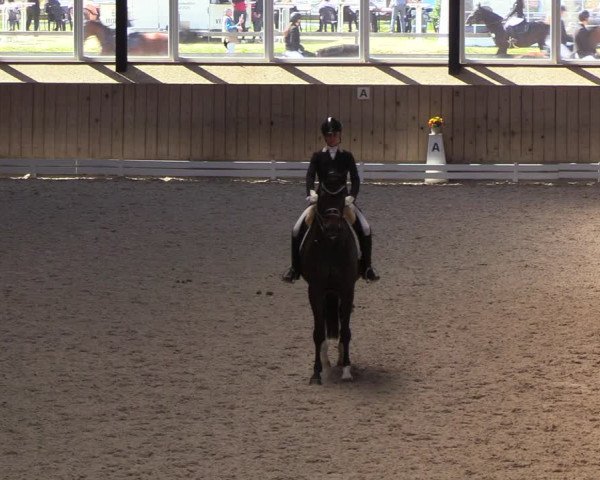 Reitturnier Niebüll 2023
