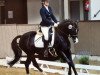 dressage horse Crystal Dance (German Riding Pony, 2010, from No Limit)