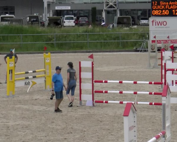 Reitturnier Werdenberg 2023