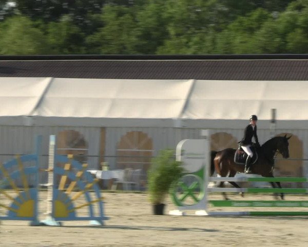 Reitturnier Nienberge Reitanlage Geßmann 2023