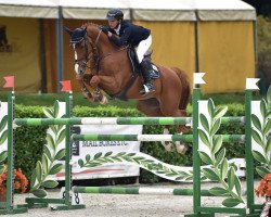 jumper Jackson (Belgian Warmblood, 2009, from Esprilio)