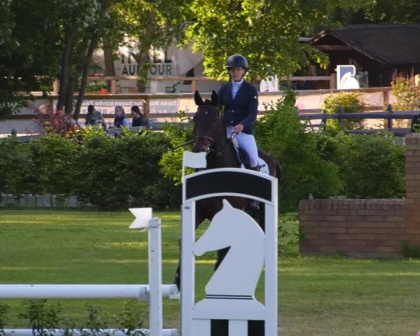 Reitturnier Ruhlsdorf 2023