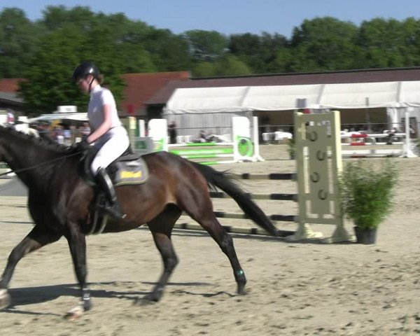Reitturnier Nienberge Reitanlage Geßmann 2023