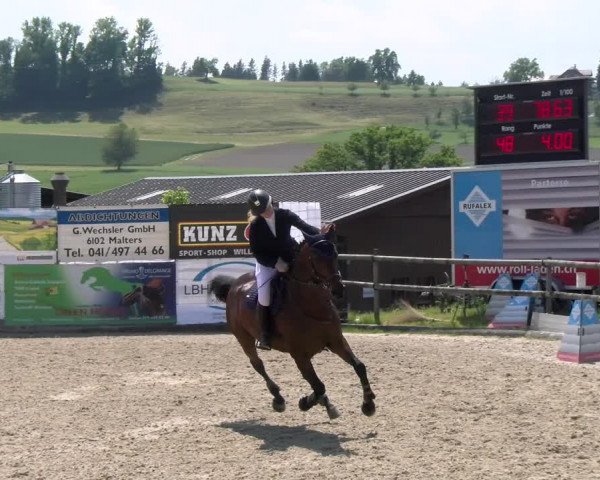 Reitturnier Ruswil 2023