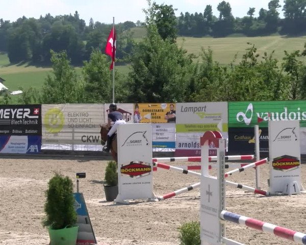 Reitturnier Ruswil 2023