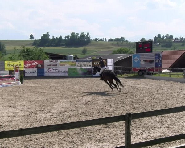 Reitturnier Ruswil 2023