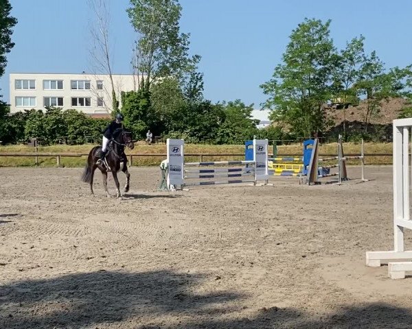 Video von Lady Royal Cleopatra
