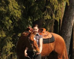 Pferd Lil Smokin Jose (Quarter Horse, 2002, von Lil Dry Peppy)