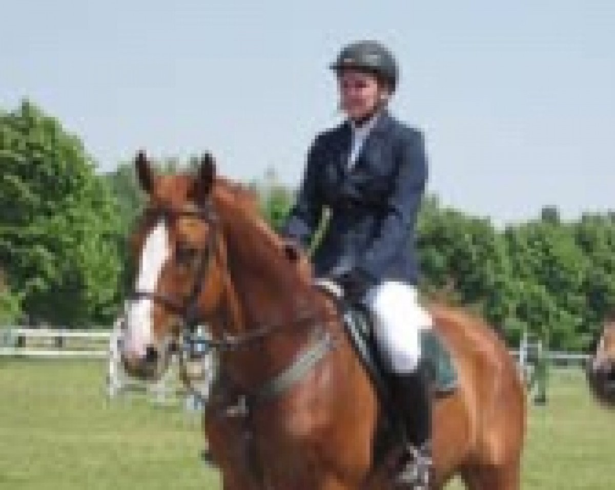 Deckhengst Duo du Theil (Selle Français, 1991, von Type D'Elle)