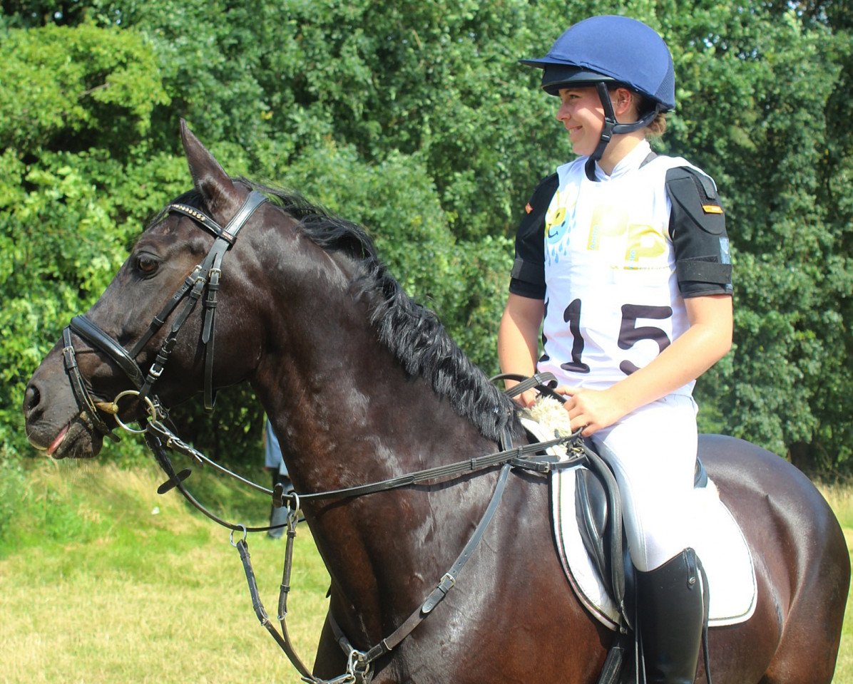 jumper Rosebud 7 (German Riding Pony, 2001, from Boss jun.)