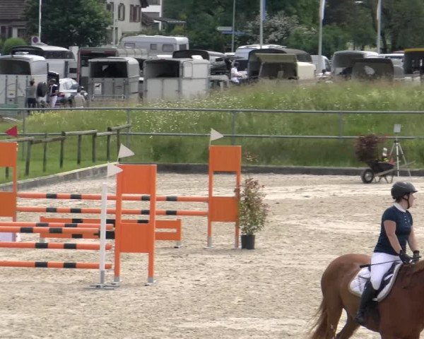 Reitturnier Werdenberg 2023