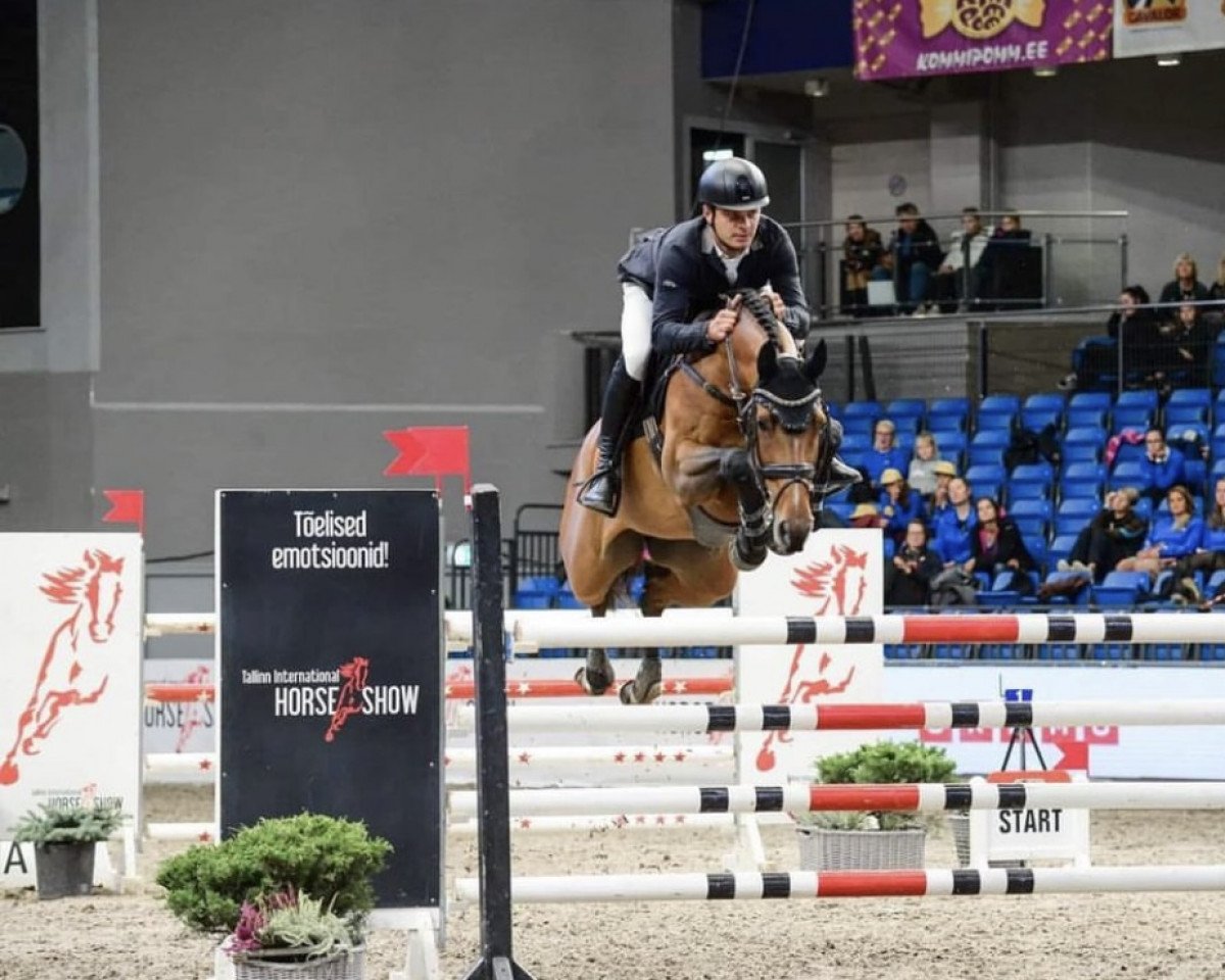 jumper Bella Balou Maxx (Oldenburg, 2015)