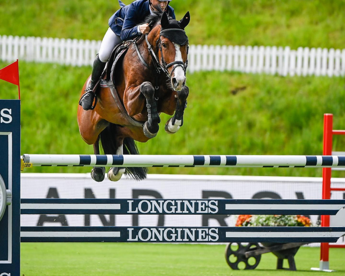 jumper Zoe K (Bavarian, 2014, from Zirocco Blue)