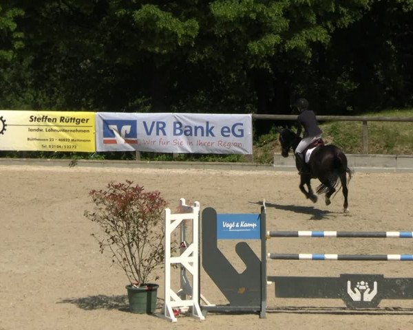 Reitturnier Erkrath - Uhlenhof 2023