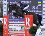 jumper Carbaron (Oldenburg show jumper, 2016, from Carleyle)