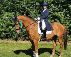 dressage horse First Fritz (Westphalian, 2012, from First Selection)