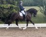 dressage horse Sportler 7 (Westphalian, 2018, from Sensation)