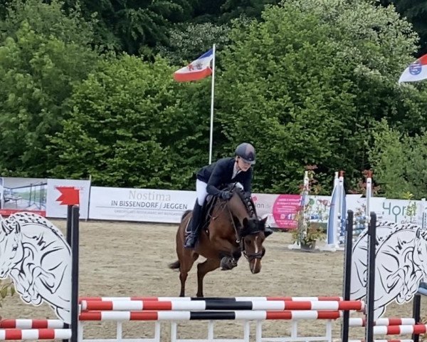 jumper Nevtana (German Riding Pony, 2018, from Del Piero 25)
