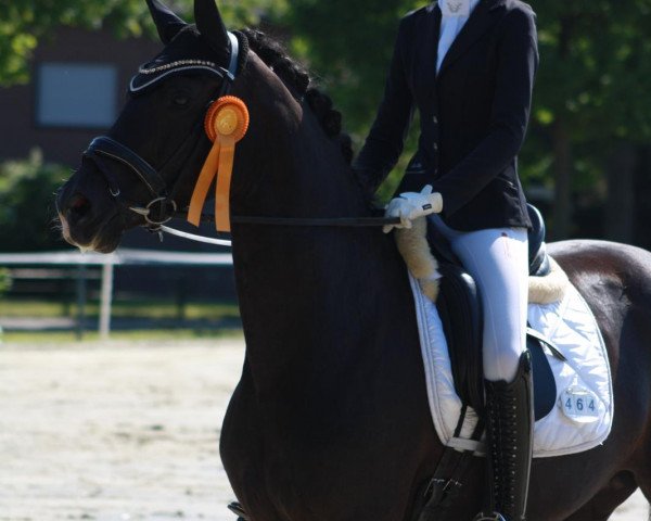 dressage horse Dollar Lady StG (Swiss Warmblood, 2014, from Bretton Woods)