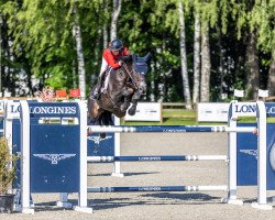 jumper Gelvera (KWPN (Royal Dutch Sporthorse), 2011, from Quality Time)