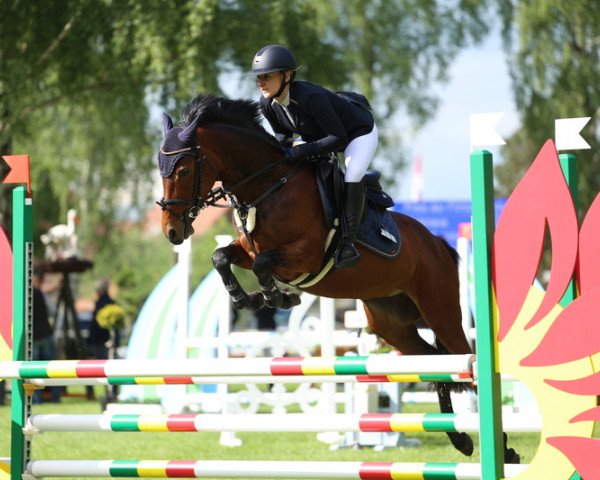 broodmare Calimera 79 (German Riding Pony, 2016, from Climax 5)