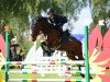 broodmare Calimera 79 (German Riding Pony, 2016, from Climax 5)