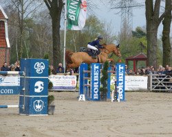 jumper Cool Fox HR (Oldenburg show jumper, 2010, from Conthargos)