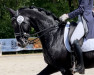 dressage horse Rosè de la Sol (Hanoverian, 2009, from Rascalino)