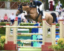 jumper Thats Me Z (Zangersheide riding horse, 2011, from Tyson)