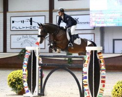 jumper Suarez (KWPN (Royal Dutch Sporthorse), 2009, from Caspar (Berlin))