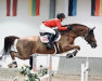 stallion Bankimoon (Oldenburg show jumper, 2009, from Burberry 9)