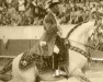 stallion Sultão I (Lusitano, 1942, from Arauto I)