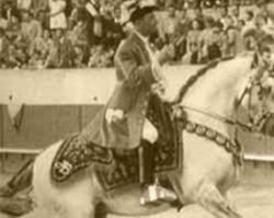 Deckhengst Sultão I (Lusitano, 1942, von Arauto I)