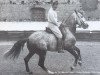 stallion Firme (Lusitano, 1956, from Principe VIII)