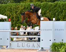 jumper Boleybawn Rolo (Irish Sport Horse, 2011, from Cassino)