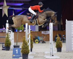 stallion Stakkatos Charming Boy (Oldenburg show jumper, 2014, from Stakkato Gold)