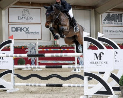 jumper Cascalino 7 (Oldenburg show jumper, 2016, from Casallco)