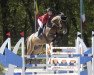 jumper Sorentino 6 (Oldenburg, 2016, from Stakkato Gold)