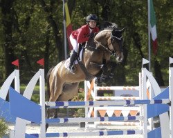 jumper Sorentino 6 (Oldenburg show jumper, 2016, from Stakkato Gold)