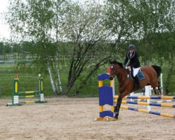 Katrin Armbrust